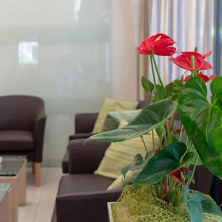 Adigrat Hotel Riccione