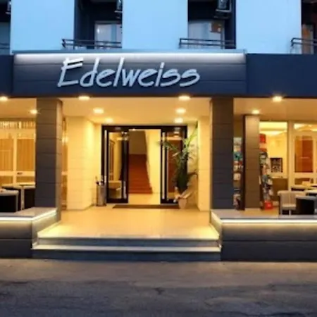 호텔 Edelweiss 리치오네