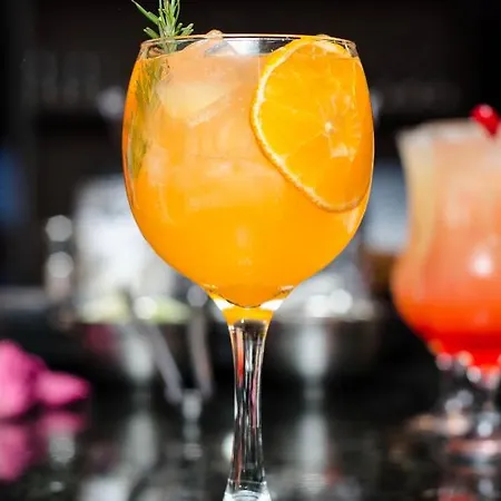 酒店 Gran San Bernardo 里乔内
