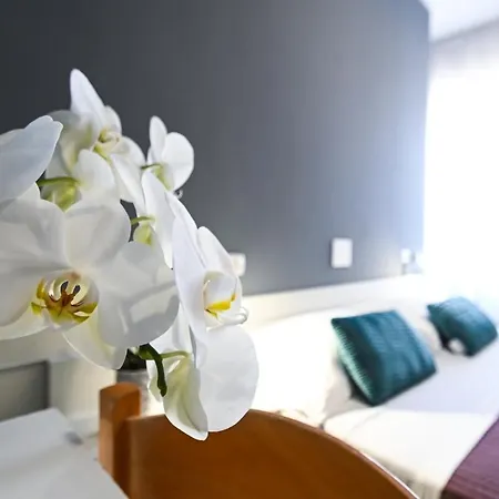Hotel Montebello Nuova Gestione Riccione