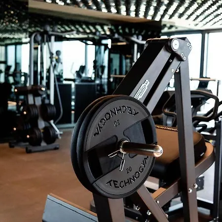 The Promenade Luxury Wellness 酒店