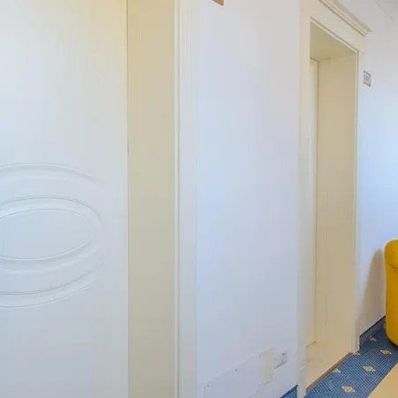 מלון Palace Domus Mea ריצ'יונה
