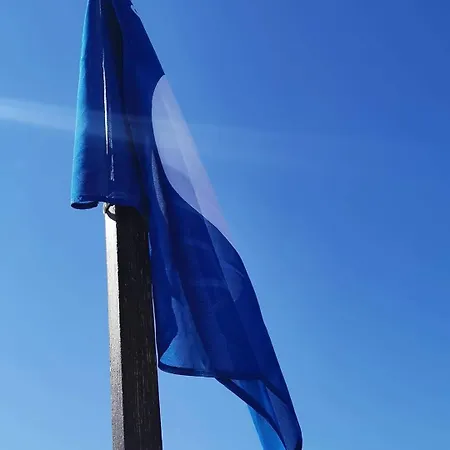 Alexandra Plaza Отель Риччоне