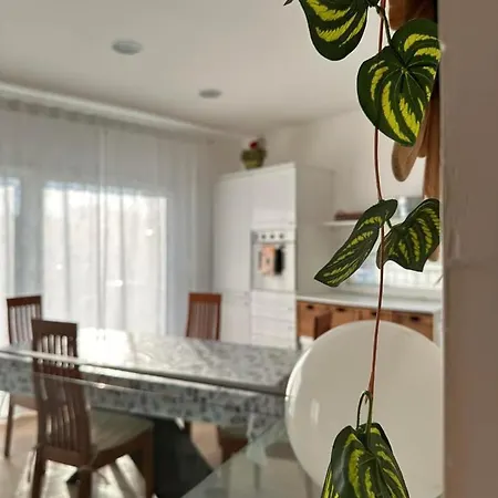 Roberta Apartment Riccione