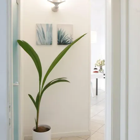 Luxury Collection - Milano 3 * Riccione