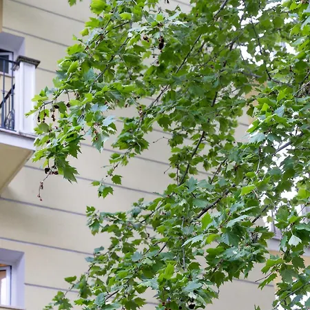 Hotel La Nidiola 2*