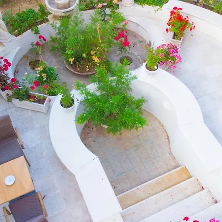 מלון Palace Domus Mea ריצ'יונה