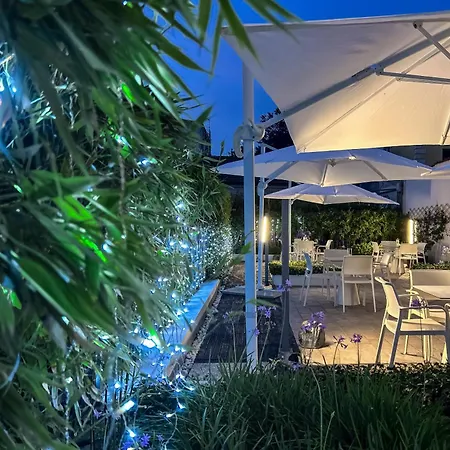 The One - Designed For Adults - Pet Lovers Riccione