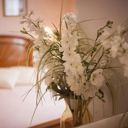 Hotel Aquila D'oro Riccione