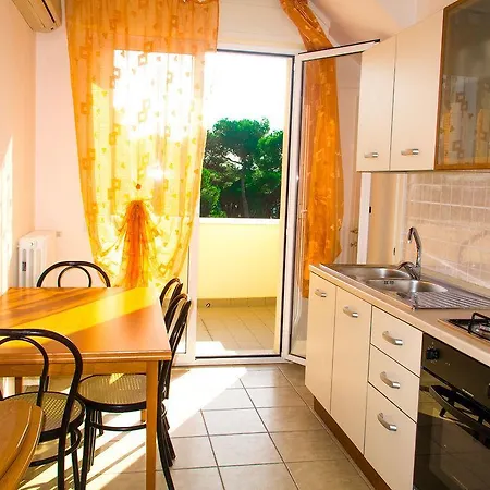 Family Nuova Orchidea Apartment Riccione
