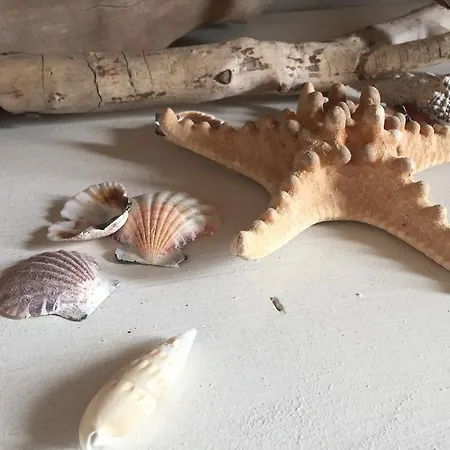Sirena Lägenhet *