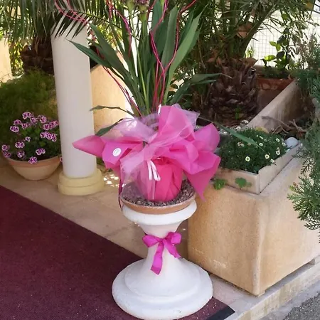 Hotel Tulipe Nazionale Riccione