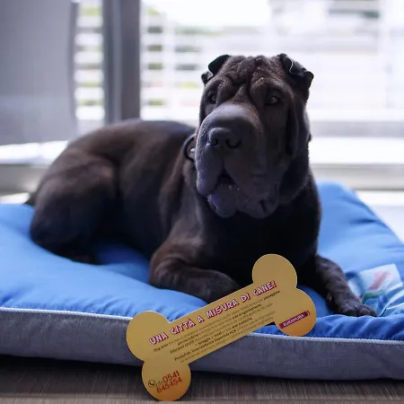 The One - Designed For Adults - Pet Lovers فندق ريتشيوني