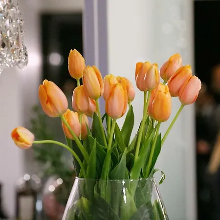 The One - Designed For Adults - Pet Lovers ريتشيوني