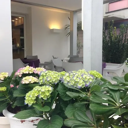Hotel Nuova 2*