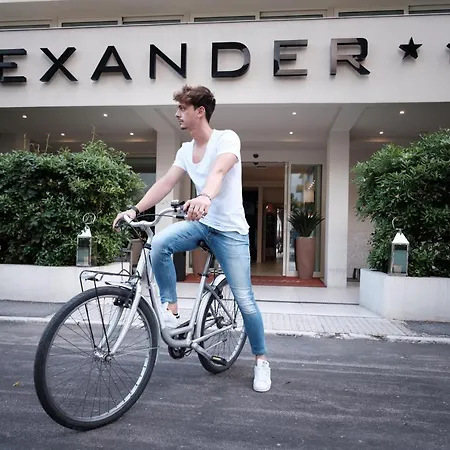 Alexander Hotel 3*