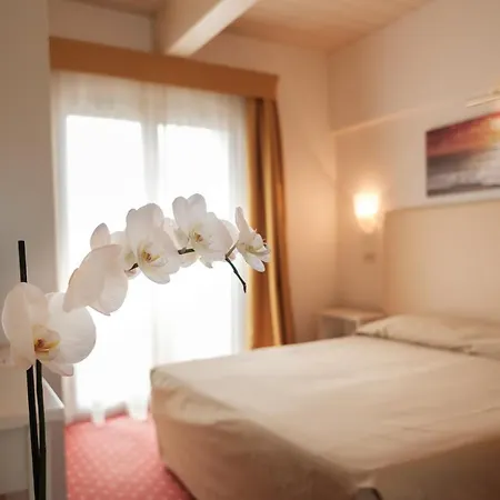 Hotel Alexander Riccione