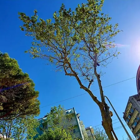 Garisenda -b&b&brunch In Centro A Riccione- 3* Riccione