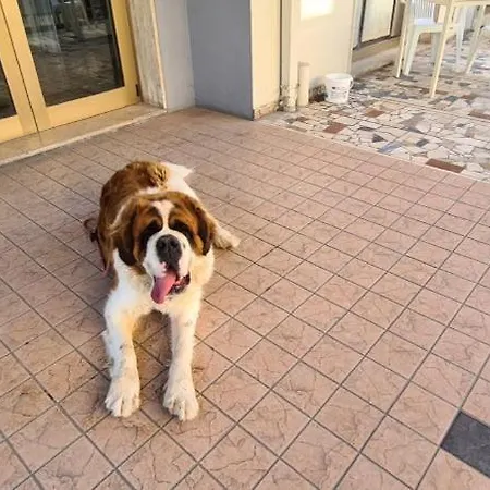 Astoria Riccione