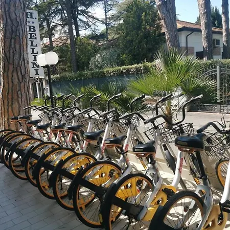 Bellini 2*