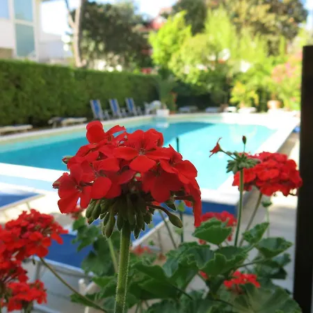 Madeira Hotel