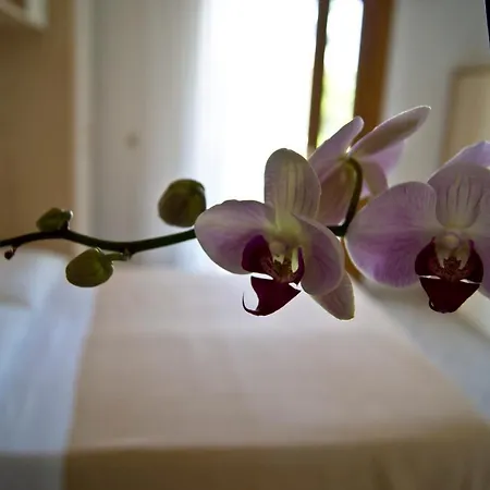 Hotel Arethusa Prestige Hotel Riccione
