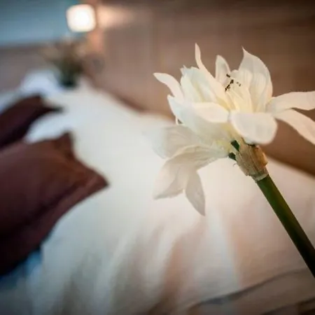 Amalfi - Smart 3* Riccione