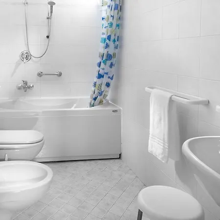 Hotel Zanarini 3*