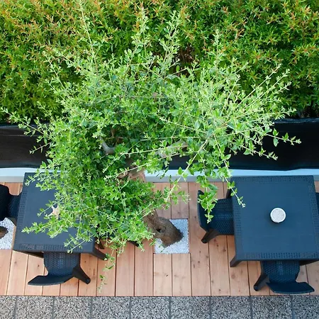 Casa Vacanze Mainardi Con Giardino Apartment