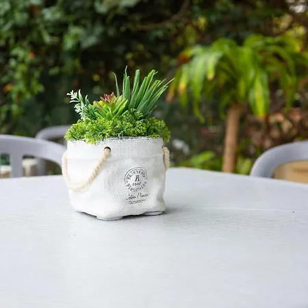 [loft9] Incantevole Vista Mare Con Giardino Appartamento *