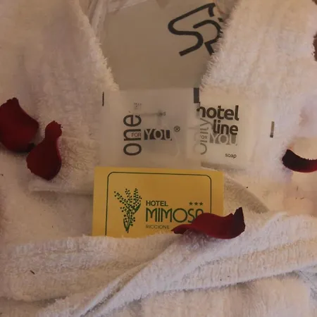 Hotel Mimosa 3*