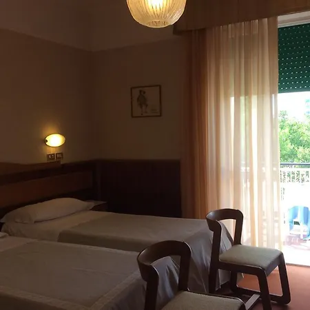 호텔 Vienna Touring 리치오네
