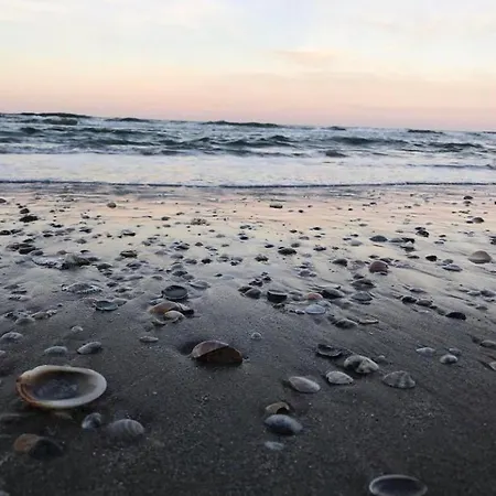 Il Mare In Stanza Appartamento *