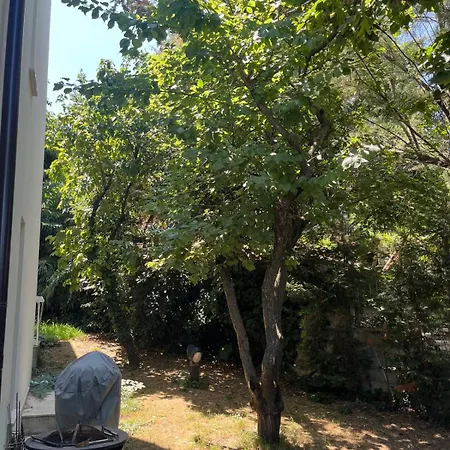 Panoramica Con Giardino A Riccione