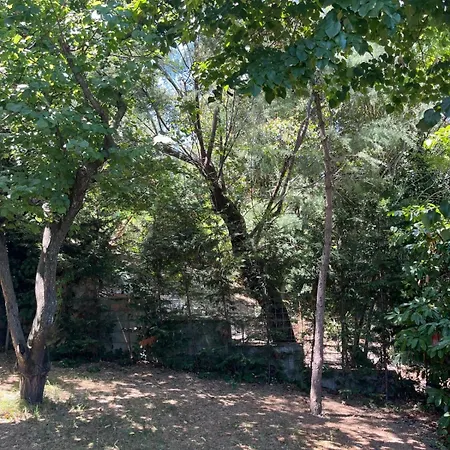 Villa Panoramica Con Giardino A *