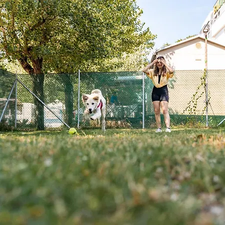 Campeggio Club Del Sole International Easy Village Riccione