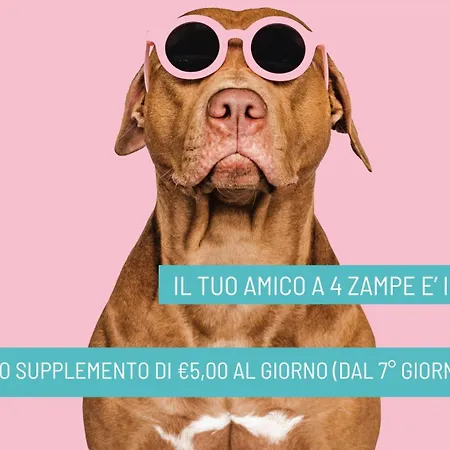 Nizza - Nuova Gestione Hotel Riccione