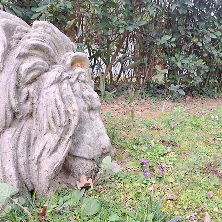 Lion House *