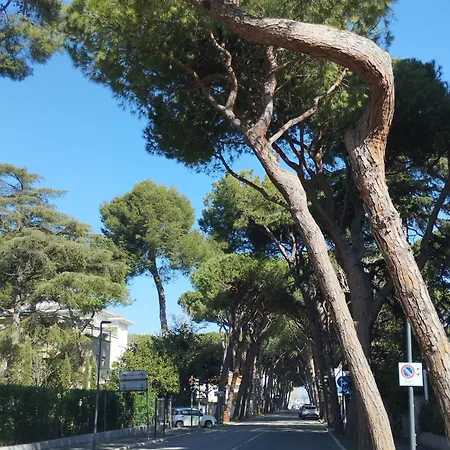 Il Gelsomino * Riccione