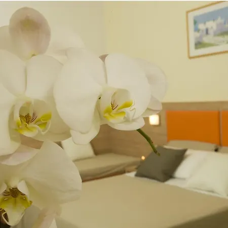 Consuelo Hotel Riccione