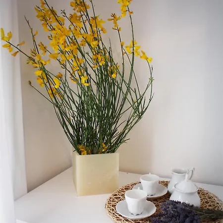Bed & Breakfast 22 Garibaldi *
