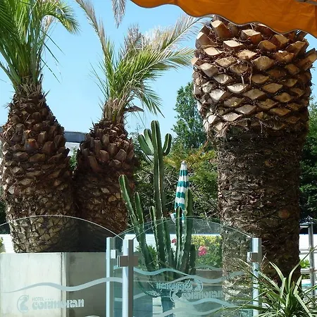 Cormoran 2* Riccione