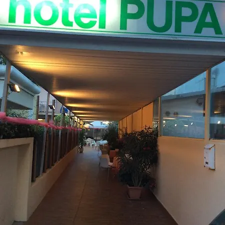 Pupa