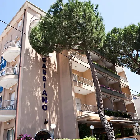 Gabbiano Riccione