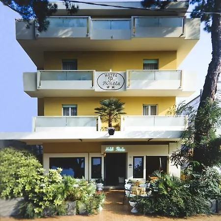 La Pineta Hotel 2*