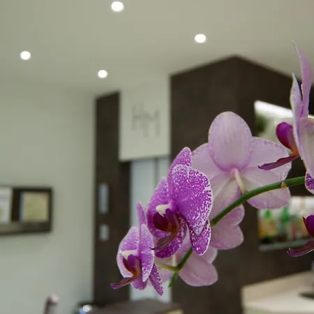 Hotel Myosotis
