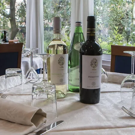 Hotel Zanarini 3*