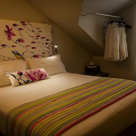 Dory Hotel Riccione