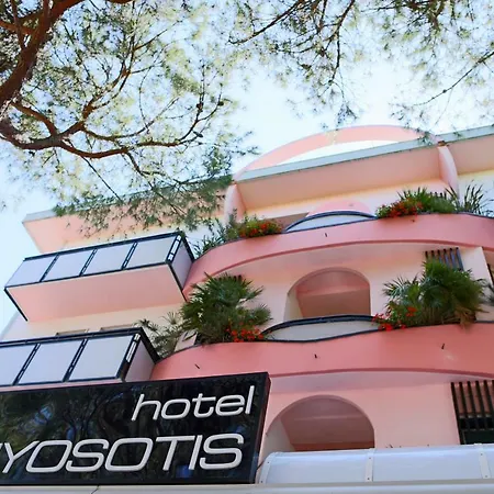 Myosotis Riccione