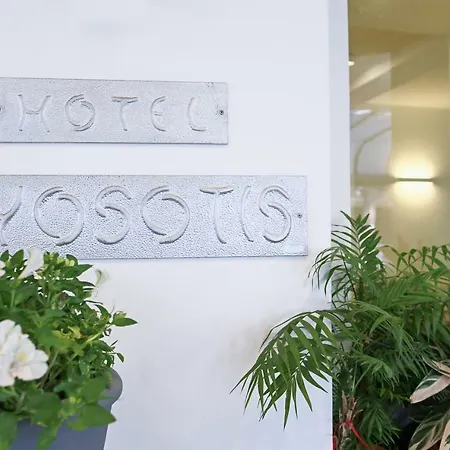 酒店 Myosotis 2*